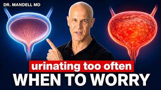 URINATING TOO OFTEN? HERE'S WHEN TO WORRY | Dr. Mandel