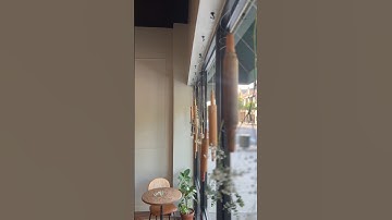 The Bakery’s Spring Window Display