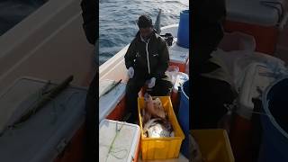 #meenavan #fish  #fishing #fishinglife #fishingvideo #tranding #vairalvideo