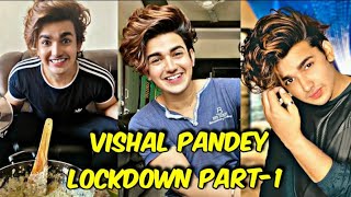 Vishal Pandey New Tik Tok Video!Vishal Pandey Lockdown Tik Tok!Vishal Pandey Funny Tik Tok!Vishalian