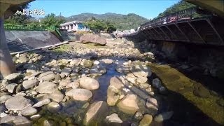 20151122【700】MIT台灣誌 南湖大山 中央尖行 冰河嬌客 孑遺在南湖古流路