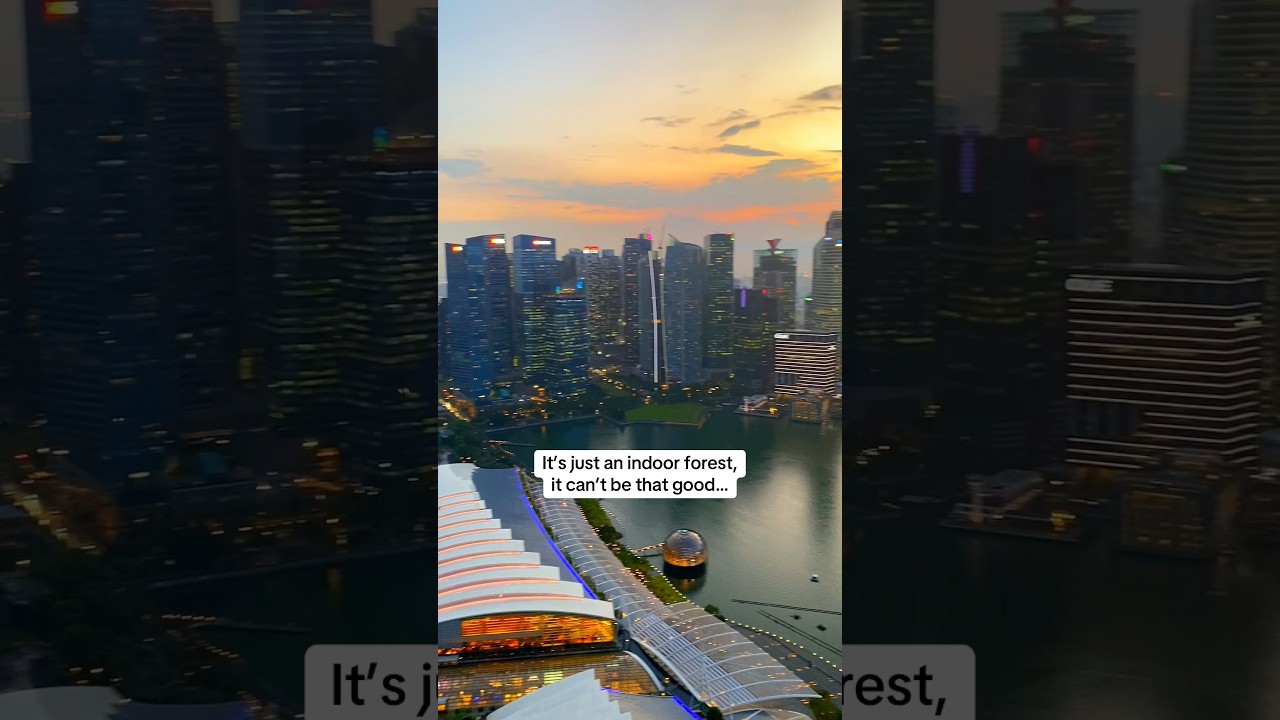 a JUNGLE in a CITY 🌆 🌳 