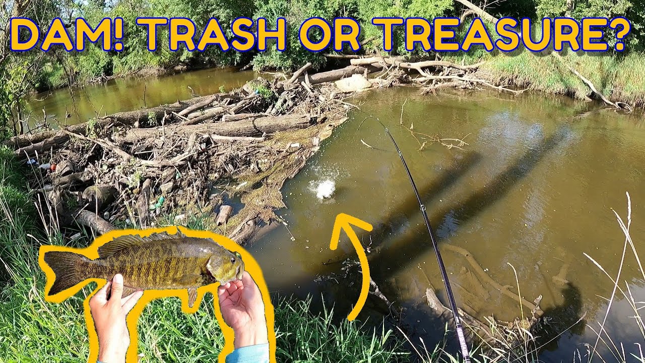 Whopper Plopper Bass Fishing Skinny Water Creek Smallmouth Bass YouTube whopper-plopper-bass-fishing-skinny-water-creek-smallmouth-bass-youtube