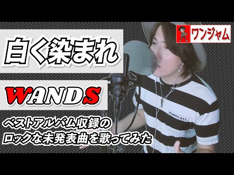 WANDS未発表の隠れ名曲「白く染まれ」をWANDSマニアが歌ってみた！【ワンジャム⑤歌唱編】