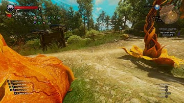 The Witcher 3 - First person combat  - fighting monsters - mod