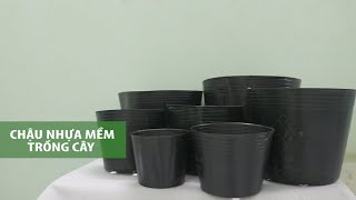 10+ chậu nhựa ươm cây