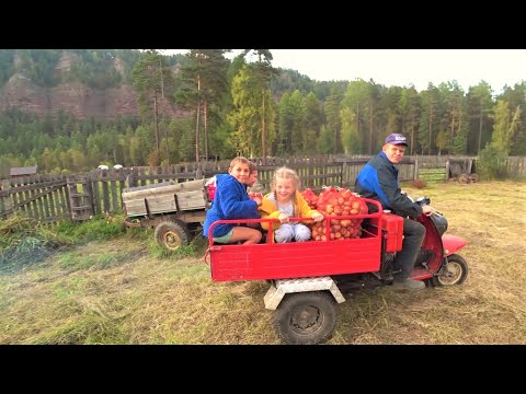 Лето быстро пролетело. Ребятишек в школу, урожай в подполье