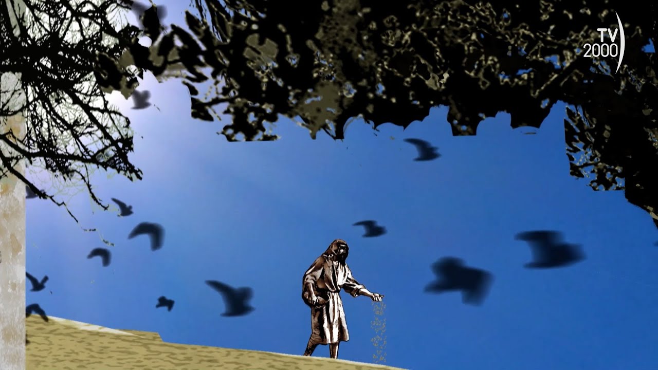 Sulla Strada - XV Domenica del Tempo Ordinario