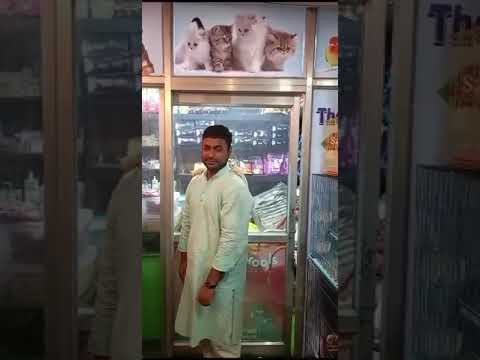 # Bihar,The pets Zoo exotics pets provider@ very affordable price 7903567143🥰#music #phonkmusic2025