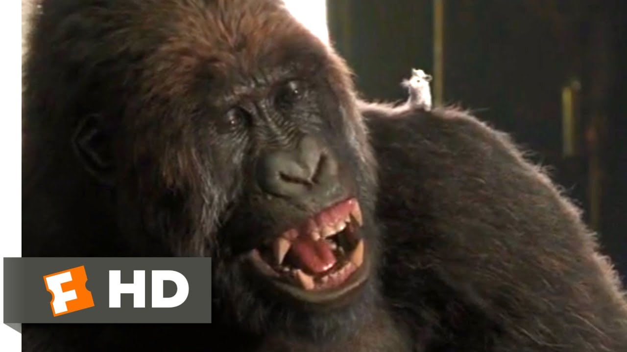Dolittle (2020) - Gorilla Chess Scene (1/10) | Movieclips