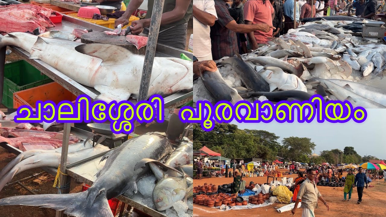 ചാലിശ്ശേരി പൂരം വാണിയം /chalisseri pooram:dudus midea /