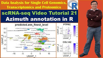 scRNA-seq Video Tutorial 21: Azimuth Annotation in R