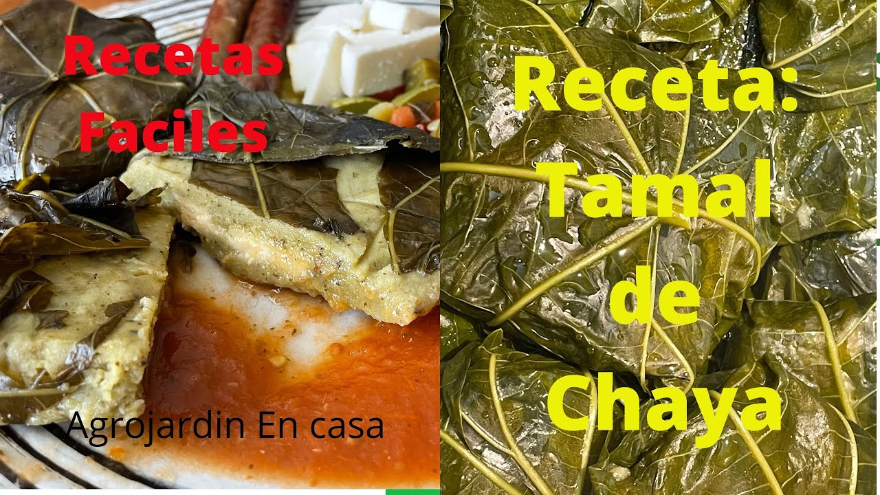 Receta de Tamal de Chaya. Chaya :Capitulo 3. #chaya #yucatán - YouTube