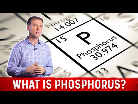 What is Phosphorus? Hyperphosphatemia and Hypophosphatemia – Phosphorus Rich Foods –