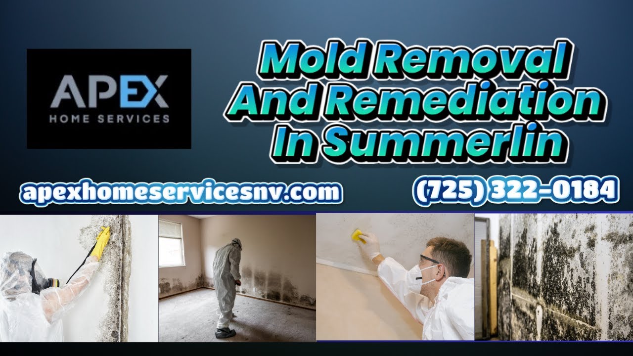 Mold Removal And Remediation In Summerlin | Apex Home Services Summerlin