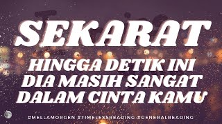 🩷️🩷️ KAMU SAMPAI DETIK INI #tarot #cinta #mellamorgen #timelessreading #generalreading