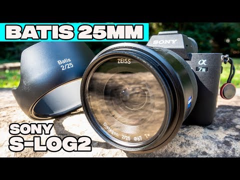 Sony BEST Lens 25mm F2 Batis Zeiss Review with Sony a7III Daylight test