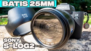 Sony Best Lens 25Mm F2 Batis Zeiss Review With Sony A7Iii Daylight Test