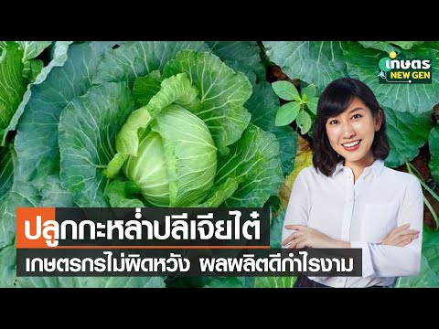 วีดีโอ: ภาษีการไม่มีบุตรในสหภาพโซเวียต: สาระสำคัญของภาษีที่จ่ายเท่าไหร่และเมื่อถูกยกเลิก