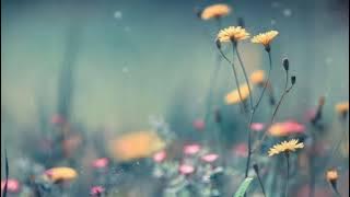 L'Arc~en~Ciel - wild flower | lyrics   vietsub