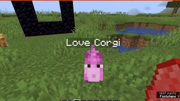 The Corgi Mod 1.12.2 & 1.15.2 Forge Mod Overview