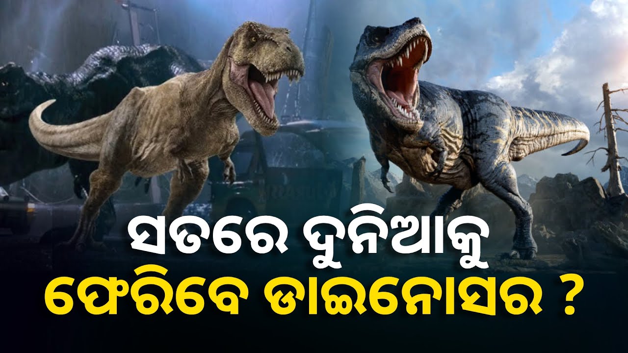 ବୈଜ୍ଞାନିକମାନଙ୍କ ଚେତାବନୀ, ଜଳବାୟୁ ପରିବର୍ତ୍ତନ ଯୋଗୁଁ ପୁଣି ଫେରି ପାରନ୍ତି ଡାଇନୋସର || Knews Odisha