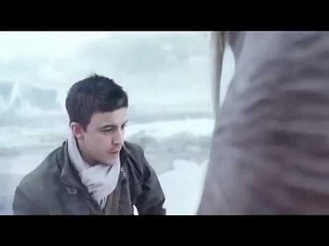 Man Vs Walrus