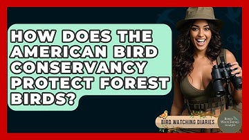 How Does The American Bird Conservancy Protect Forest Birds? - Bird Watching Diaries