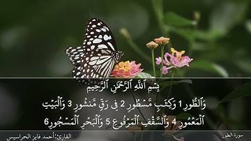 الصفحة 523 سورة الذاريات والطور بصوت القارئ المهندس أحمد فايز الحراسيس