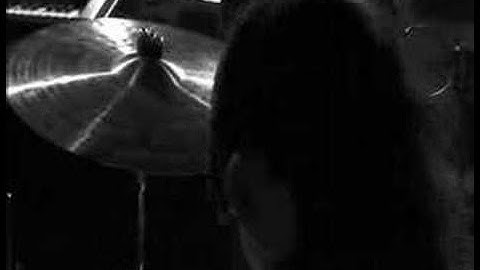 The Whip - Muzzle No.1