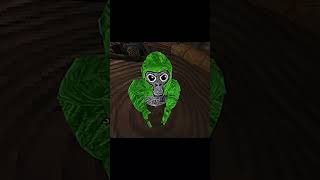 How he be feelin rn #viralvideo #edit #lifeisbutadream #gtag #vr #gorillatag @OPTgt #jukes