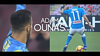 Adam Ounas - Amazing Goals, Skills \& Assists | SSC Napoli 2018\/19 HD