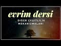 Evrim Dersi 6: Diğer Çeşitlilik Mekanizmaları