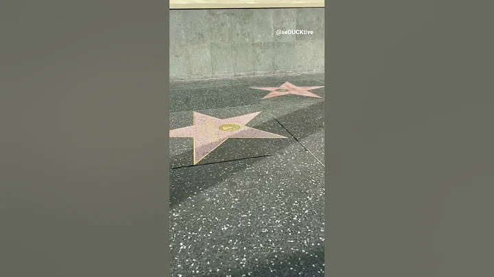 Duck Running 5 (viral tiktok)