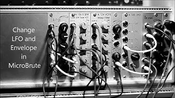 Doepfer A 124 Wasp Filter