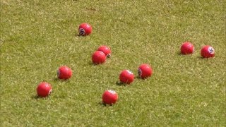 Donald Trump Protester Hands Out Red Swastika Golf Balls at Course Opening screenshot 3