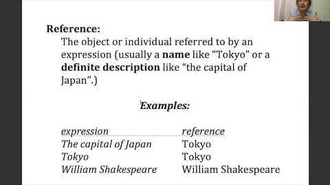 Introduction to Semantics, Chapter 1