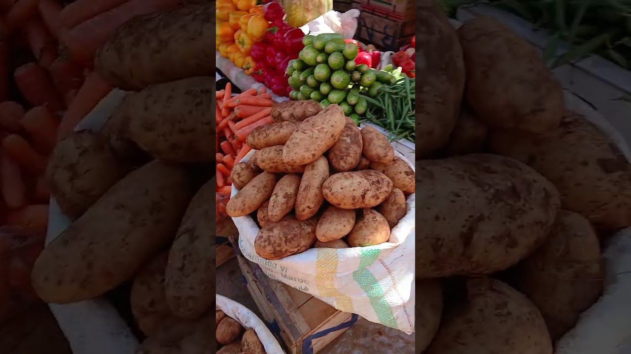 23 فبراير 2026