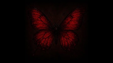 THE BUTTERFLY EFFECT | UNTIL DAWN FAN SONG | BY FOX HOUND