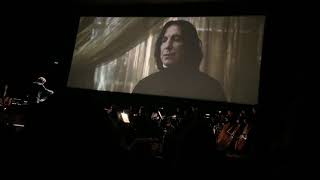 Harry Potter And The Half Blood Prince In Concert - The Slug Party - Youtube