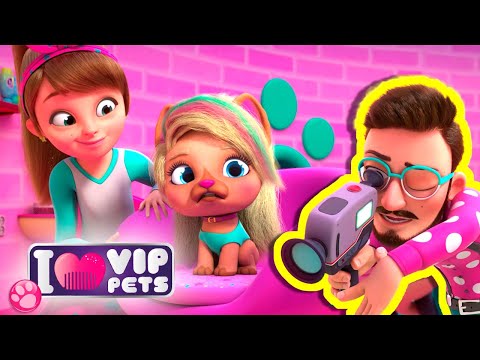 💜 თავგადასავლები სალონში 💜 VIP PETS 🌈 ვიაპი ფეთს 🌈 სრული ეპიზოდები 💇🏼 მულტფილმები ქართულად