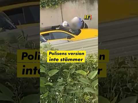 Video: Kommer det att bli ännu en säsong av plundrare?