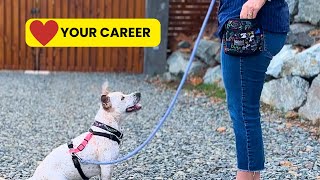 How to Become a Professional Dog Trainer: Everything You Need to Know