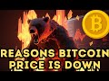 The reasons bitcoin price is down 11 since the halving