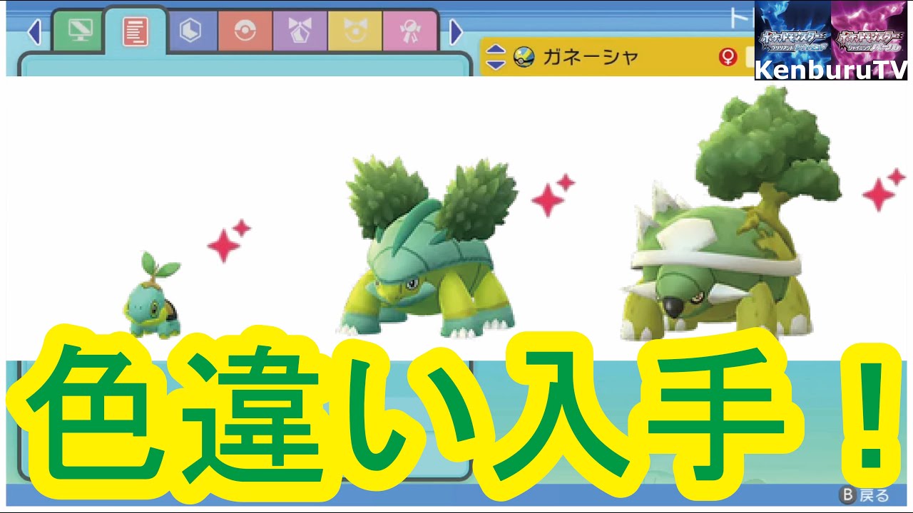 ひかおまあり 国際孵化で色違いナエトル出るか ライブ配信 ポケモンシャイニングパールbdsp Youtube ひかおまあり 国際孵化で色違いナエトル出るか ライブ配信 ポケモンシャイニングパールbdsp Youtube
