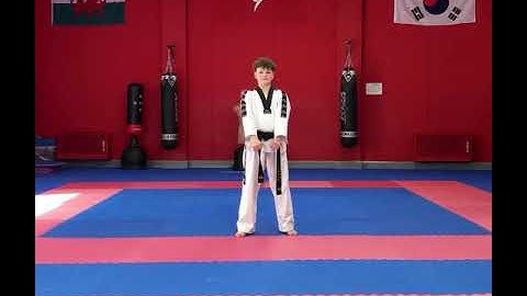 Yellow Stripe (9th Kup) Grading Floorwork