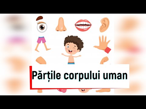 Video: Discurile Nanozizate Vor învăța Corpul Uman Să Lupte împotriva Cancerului - Vedere Alternativă