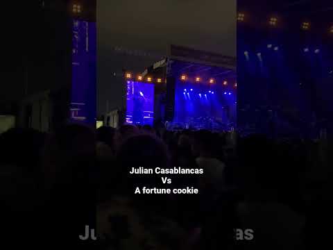 Vidéo: Fortune de Julian Casablancas