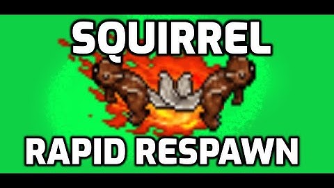 Squirrel on Rapid Respawn: Chill dinner charm