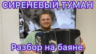 Сиреневый туман/ Разбор на баяне/ Обучение